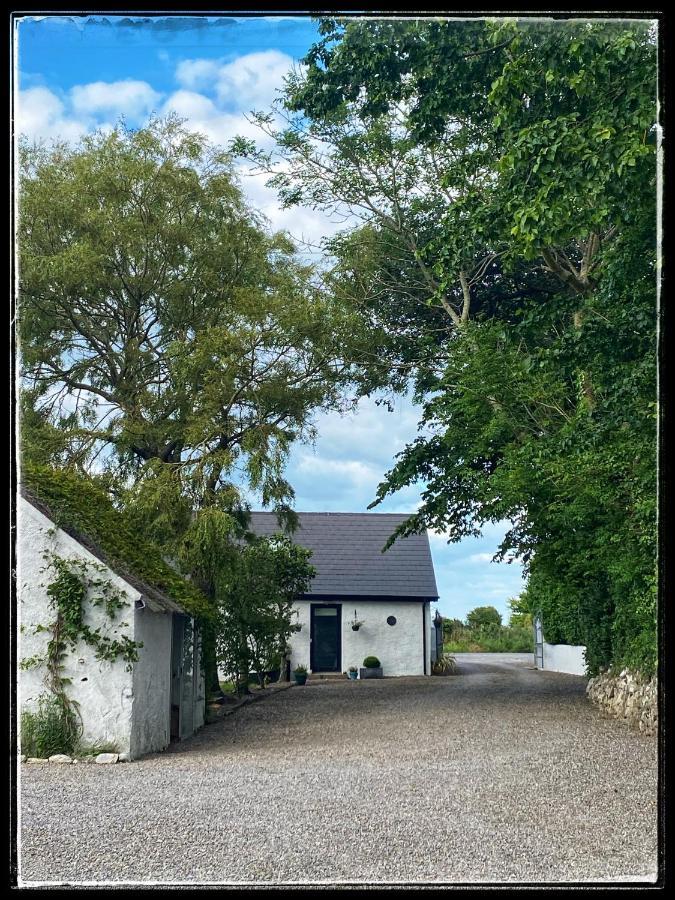Sanctuary Lodge Cork Exteriér fotografie